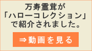 万寿霊茸ハローコレクション