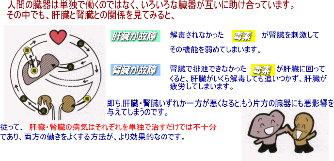 悪く 腎臓 なると が 【医師が教える】腎臓が悪いと言われたらまず読んでほしい記事