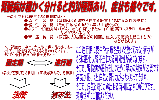 腎臓病は細かく分けると約30種類あり、症状も様々です。